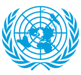 Ammar Zakareya Ali is a seasoned website strategist and founder of Maroon Frog Digital Marketing, with over 20 years of experience in web design, innovation, and digital transformation, driving impactful solutions globally.